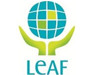 logo leaf v2